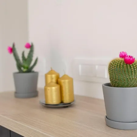Bozica Apartma *