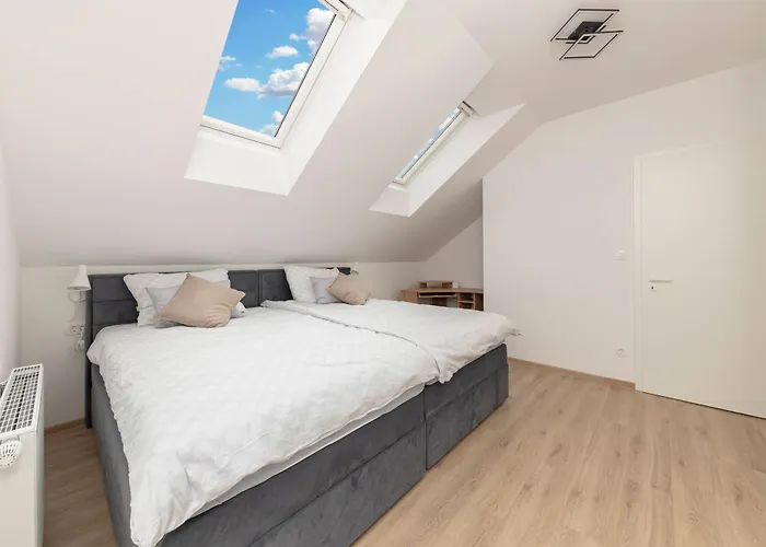 Bozica Любляна