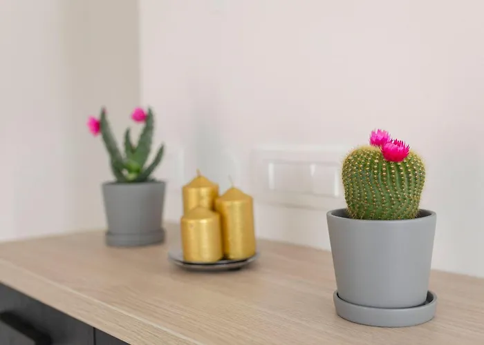 Bozica Апартаменты *